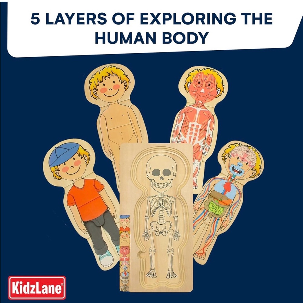 Boy Anatomy Puzzle - Picture 8 of 8